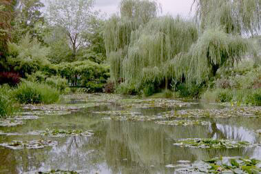 Vue du Jardin Giverny